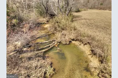 48.4Ac Lofty Heights, Mineral Bluff, GA 30559 - Photo 26