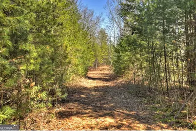 48.4Ac Lofty Heights, Mineral Bluff, GA 30559 - Photo 4