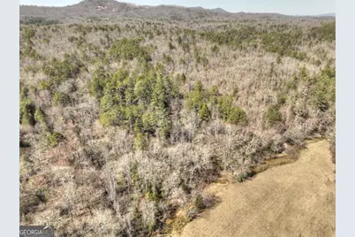48.4Ac Lofty Heights, Mineral Bluff, GA 30559 - Photo 22