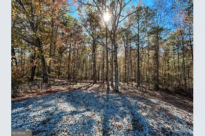 0 Highway 16 E, Monticello, GA 31064 - Photo 12