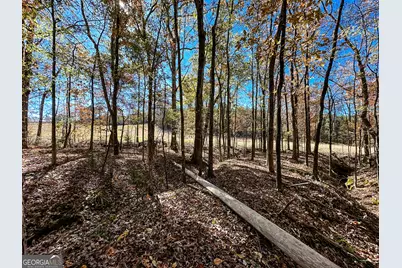 0 Highway 16 E, Monticello, GA 31064 - Photo 6
