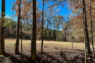 0 Hwy 16 E, Monticello, GA 31064 - Photo 1