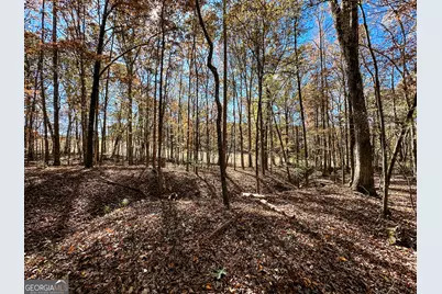 0 Highway 16 E, Monticello, GA 31064 - Photo 2