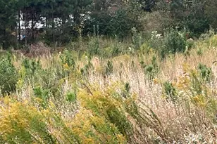 2846 Hwy 138 E, Jonesboro, GA 30236 - Photo 1