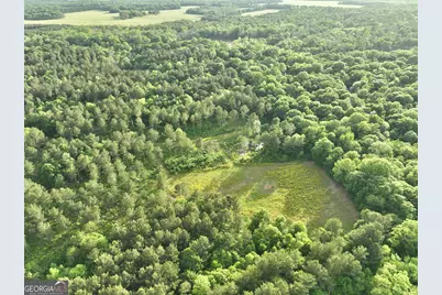 47 Southgate Lane, Hawkinsville, GA 31036 - Photo 72