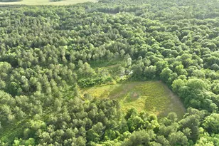 47 Southgate Ln, Hawkinsville, GA 31036 - Photo 72