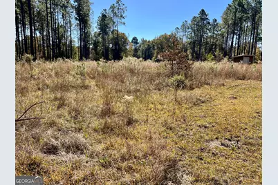47 Southgate Lane, Hawkinsville, GA 31036 - Photo 22
