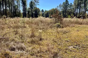 47 Southgate Ln, Hawkinsville, GA 31036 - Photo 22