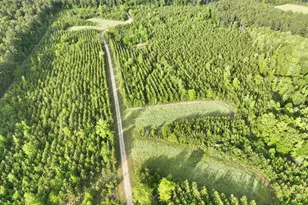 47 Southgate Ln, Hawkinsville, GA 31036 - Photo 74