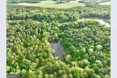 47 Southgate Lane, Hawkinsville, GA 31036 - Photo 76