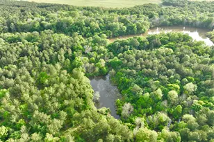 47 Southgate Ln, Hawkinsville, GA 31036 - Photo 76