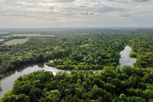 47 Southgate Ln, Hawkinsville, GA 31036 - Photo 70