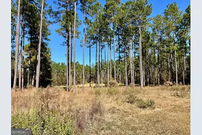47 Southgate Lane, Hawkinsville, GA 31036 - Photo 28