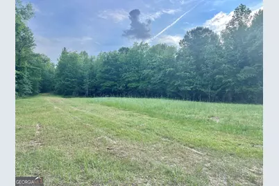 47 Southgate Lane, Hawkinsville, GA 31036 - Photo 58