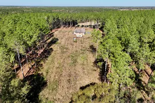 47 Southgate Ln, Hawkinsville, GA 31036 - Photo 4