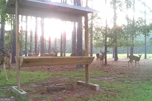 47 Southgate Ln, Hawkinsville, GA 31036 - Photo 60