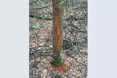 47 Southgate Lane, Hawkinsville, GA 31036 - Photo 64