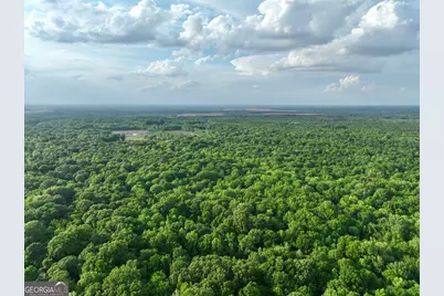 47 Southgate Lane, Hawkinsville, GA 31036 - Photo 12