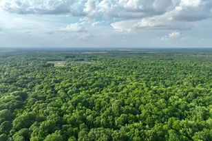 47 Southgate Ln, Hawkinsville, GA 31036 - Photo 12