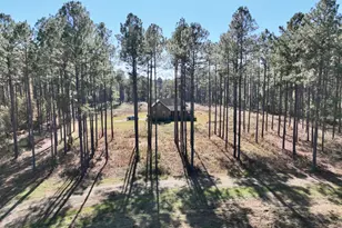 47 Southgate Ln, Hawkinsville, GA 31036 - Photo 2