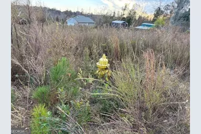 243 Kendall Drive, Griffin, GA 30224 - Photo 4