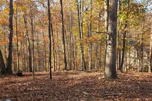 2540 Marsha Cir, Cumming, GA 30041 - Photo 2