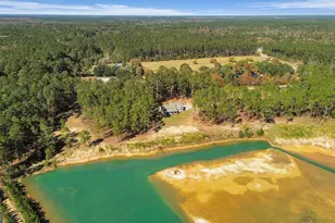 965 Old Olive Branch Rd, Ellabell, GA 31308 - Photo 66