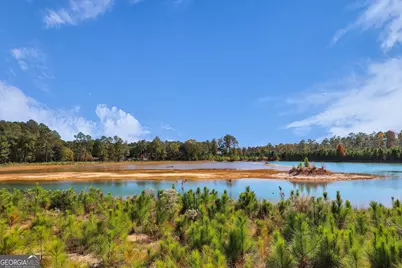 965 Old Olive Branch Road, Ellabell, GA 31308 - Photo 58