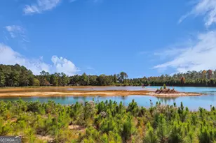 965 Old Olive Branch Rd, Ellabell, GA 31308 - Photo 58