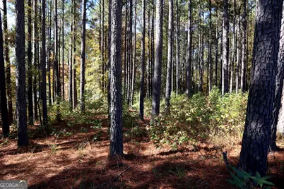 5234 Lake Crest Drive, Sparta, GA 31087 - Photo 12
