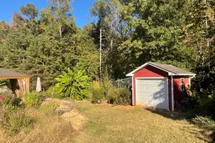 45 Riverside Walk, Sharpsburg, GA 30277 - Photo 8