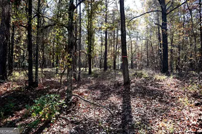 511 Jamesway Drive, Sparta, GA 31087 - Photo 1