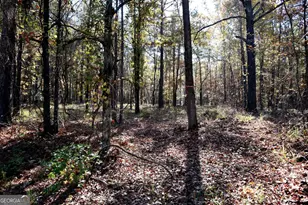 511 Jamesway Dr, Sparta, GA 31087 - Photo 1