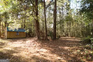 25 Chemin Pl, Sharpsburg, GA 30277 - Photo 76