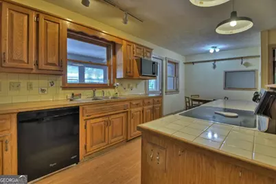 14576 Morganton Highway, Morganton, GA 30560 - Photo 4