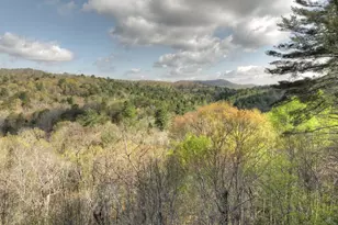 237 Dupont Drive, Blue Ridge, GA 30513 - Photo 48