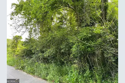 209 Lively Street, Vidalia, GA 30474 - Photo 4