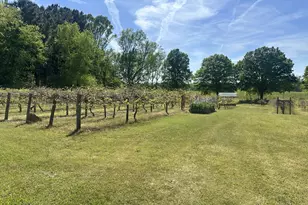 308 Deer Run, Williamson, GA 30292 - Photo 6