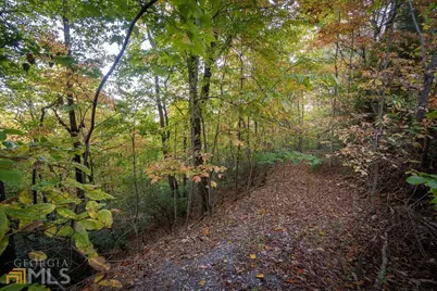 0 Mountain View Drive, Cleveland, GA 30528 - Photo 18