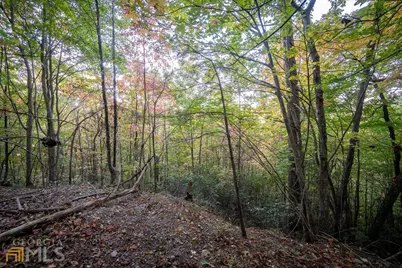 0 Mountain View Drive, Cleveland, GA 30528 - Photo 10