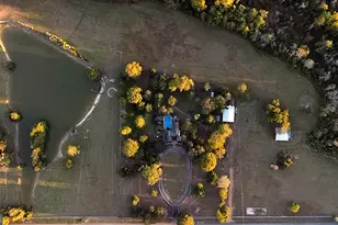 200 Felton Rd, Perry, GA 31069 - Photo 120