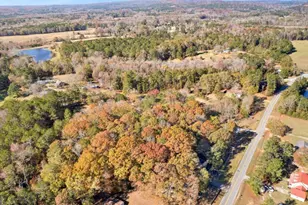 2540 Hannahs Mill Rd & 665 Atwater Rd, Thomaston, GA 30286 - Photo 72