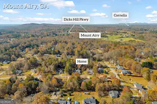 357 Sundew Ln, Mount Airy, GA 30563 - Photo 44