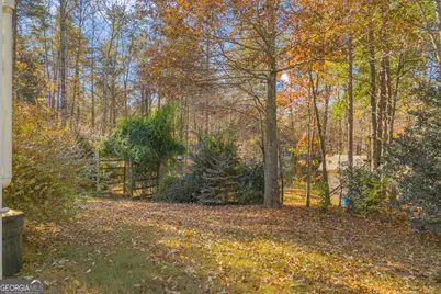 357 Sundew Lane, Mount Airy, GA 30563 - Photo 38