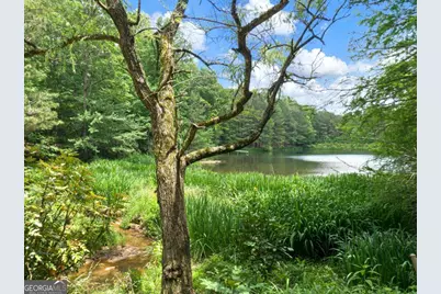 1402 Henderson Mountain Road, Jasper, GA 30143 - Photo 58