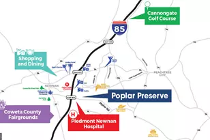 197 Lauritsen Way, Newnan, GA 30265 - Photo 4