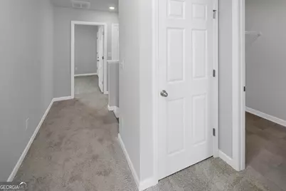 197 Lauritsen Way, Newnan, GA 30265 - Photo 28