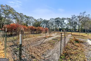 670 S Railroad Ave, Carlton, GA 30627 - Photo 42