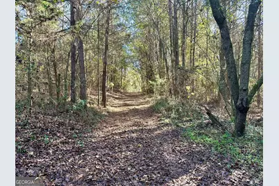 0 Sheep Pasture Road, Commerce, GA 30529 - Photo 24