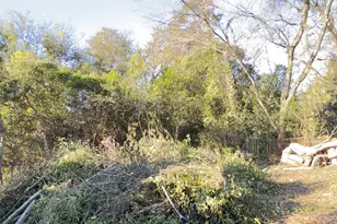 537 Colquitt St, Macon, GA 31206 - Photo 4